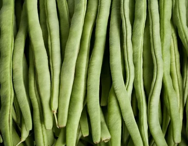 Miniatura: Znalazła głowę węża w paczce z mrożoną...