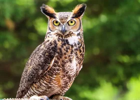 Miniatura: Wymagający QUIZ z wiedzy ogólnej. Na ile...