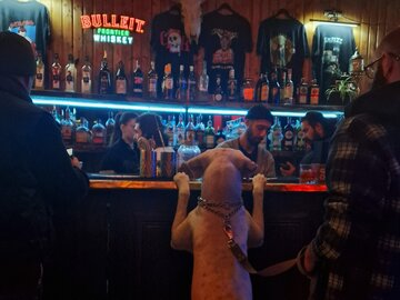 Bar w&nbsp;Tbilisi