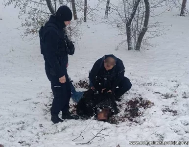Miniatura: Nowe szczegóły z poszukiwania Maksymiliana...