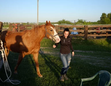 Miniatura: Mieszkańcy dowiedzieli się, na czyich...