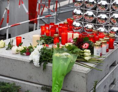 Miniatura: „Bild”: Polski kierowca został postrzelony...