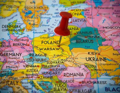 Miniatura: Inwestorzy zagraniczni stawiają na Polskę