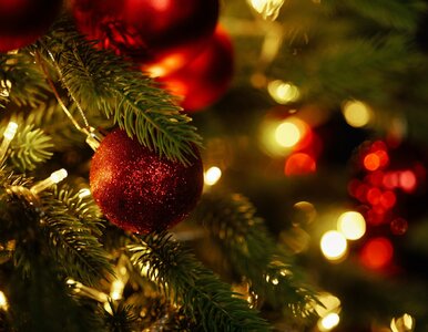 Miniatura: Świąteczny QUIZ z wiedzy ogólnej. Wstyd...