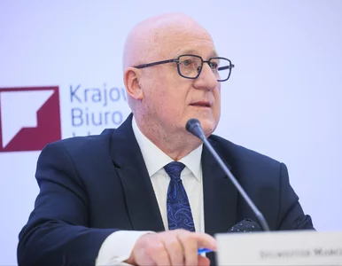 Miniatura: Przestępstwa i wykroczenia podczas wyborów...