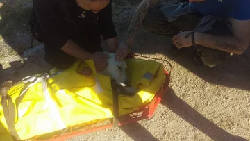 Akcja ratowania Nero z udziałem GOPR i wolontariuszy fundacji Mondo Cane 