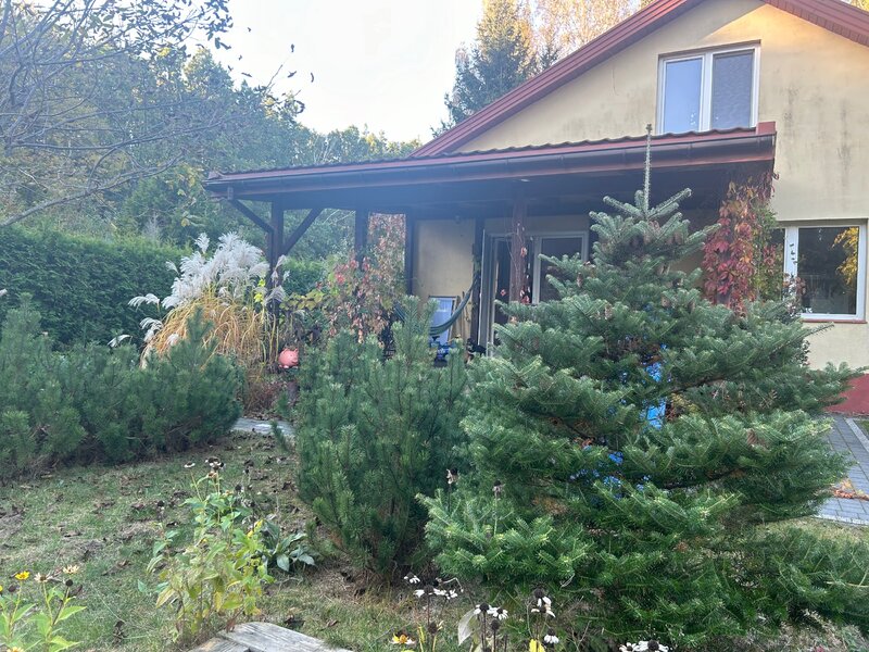 Iglaki wok&oacute;ł domu