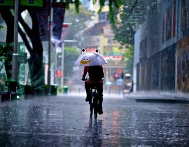 Miniatura: Te niezwykłe zdjęcia sprawią, że pokochasz...