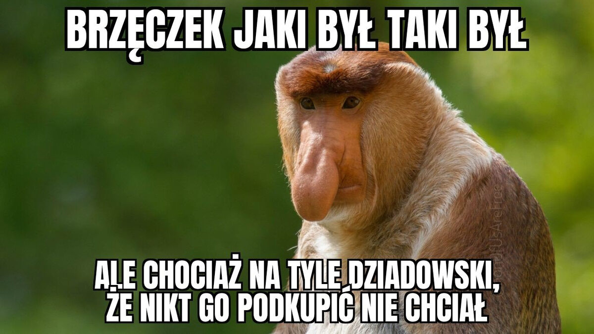 Brzęczek jaki był, taki był 