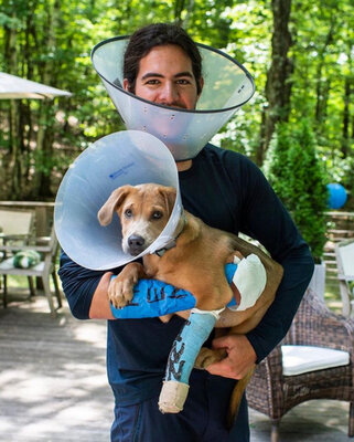 Miniatura: Ten pies miał być adoptowany, został po...