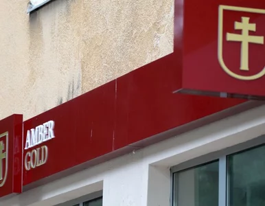 Miniatura: Jak finansowano Amber Gold? Sprawdzą to...