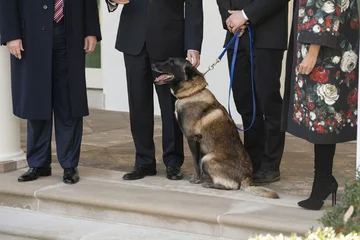 Conan w Białym Domu 