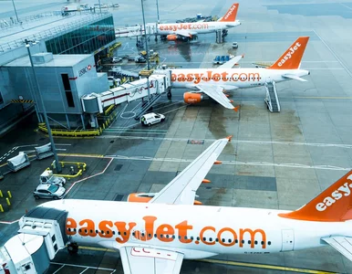 Miniatura: Góra walizek na Heathrow, EasyJet tnie...