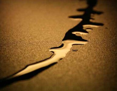 Miniatura: Azja chce kupować irańską ropę -...