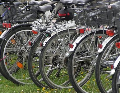 Miniatura: NIK zbada bezpieczeństwo rowerzystów i...