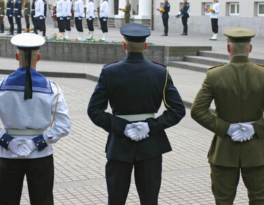 Miniatura: Żołnierze-wegetarianie na Litwie będą...