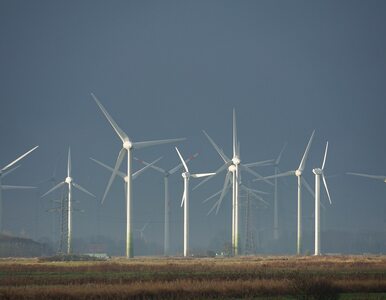 PZU współfinansuje kolejną farmę wiatrową