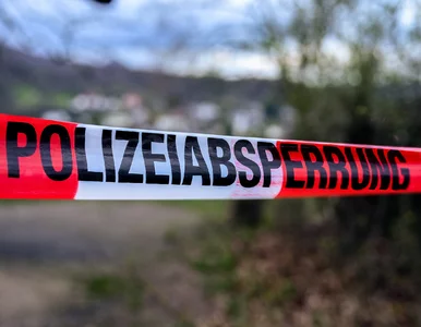 Miniatura: Padły strzały, trzy osoby nie żyją....