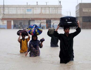 Miniatura: Powódź w Pakistanie. 78 osób nie żyje