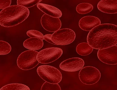 Miniatura: 12 zasad leczenia hemofilii. Czy polscy...