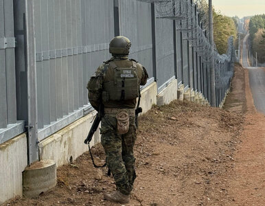 Miniatura: Rząd ulepszył mur na granicy Polski i...
