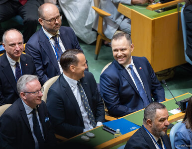 Miniatura: Tak Sikorski skomentował zdjęcie z...