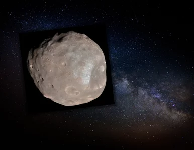 Miniatura: NASA opublikowała zdjęcie „kosmicznego...