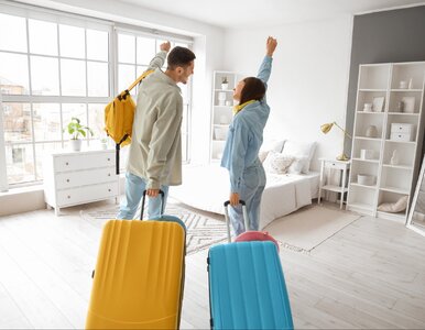 Miniatura: Mieszkanie dla studenta. W tych miastach...