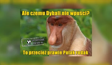Memy po meczu Francja - Argentyna 