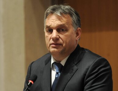 Miniatura: Orban: Imigracja ekonomiczna przynosi...