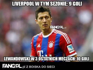 fot. fangol.pl