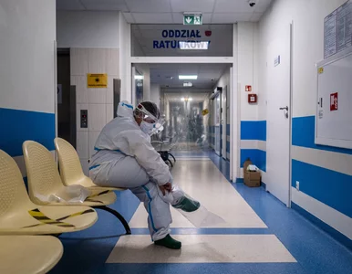 Miniatura: RMF FM nieoficjalnie: Ponad 36 500 nowych...