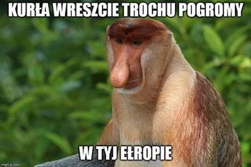Mem po losowaniu grup eliminacyjnych Euro 2020 