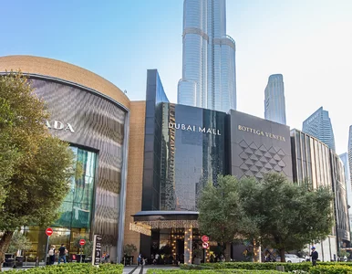 Miniatura: Oberwało się Polakom pracującym w ZEA....