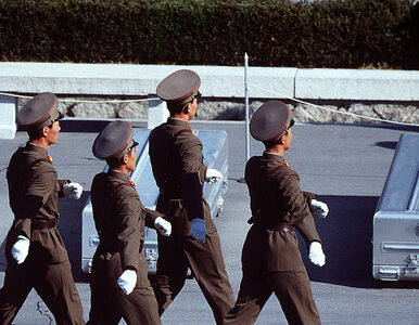 Miniatura: Korea Północna znów aresztowała...
