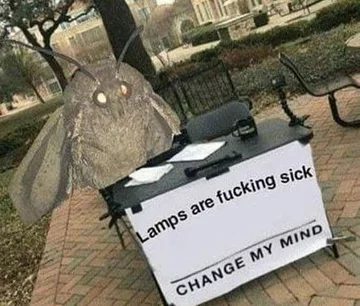 Mem z ćmą 