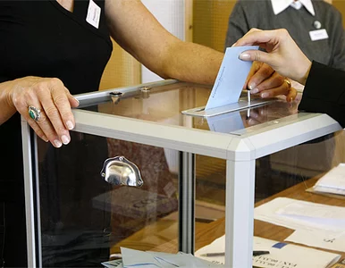 Miniatura: Stulatka kandyduje na radną