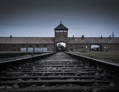 Miniatura: „Auschwitz to polski Disneyland”....