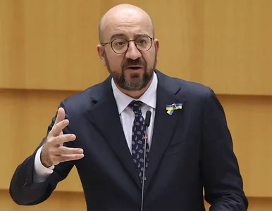 Miniatura: Szef Rady Europejskiej o utworzeniu strefy...