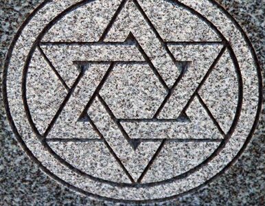 Miniatura: Łódź: swastyki i symbol SS na synagodze
