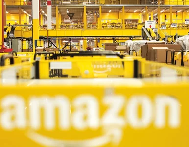 Miniatura: Korporacje unikają płacenia podatków w...