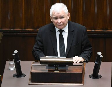 Miniatura: PiS wciąż na czele, Koalicja Obywatelska...