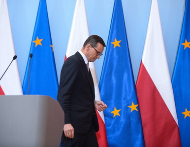 Miniatura: Sondaż. Kto mógłby zastąpić Morawieckiego...