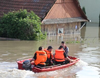 Miniatura: Sandomierz znów zagrożony powodzią. Będzie...