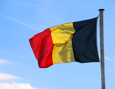 Miniatura: Mecz Belgia-Hiszpania odwołany w obawie...