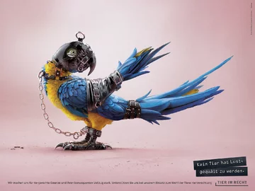 Zwierzaki w strojach BDSM 