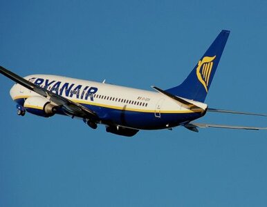 Miniatura: "Chmura to żadne zagrożenie". Ryanair...