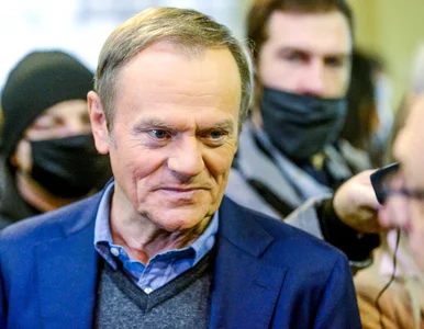 Miniatura: Donald Tusk jak bohater kultowej komedii....