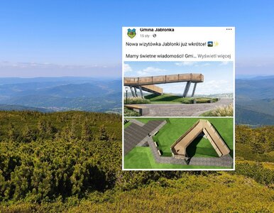 Miniatura: Platforma widokowa podzieliła mieszkańców...