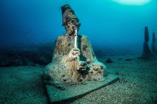Miniatura: Podwodny świat na wyciągnięcie ręki....